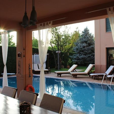 4-Seasons Pool Villa Near Meteora Трикала Экстерьер фото