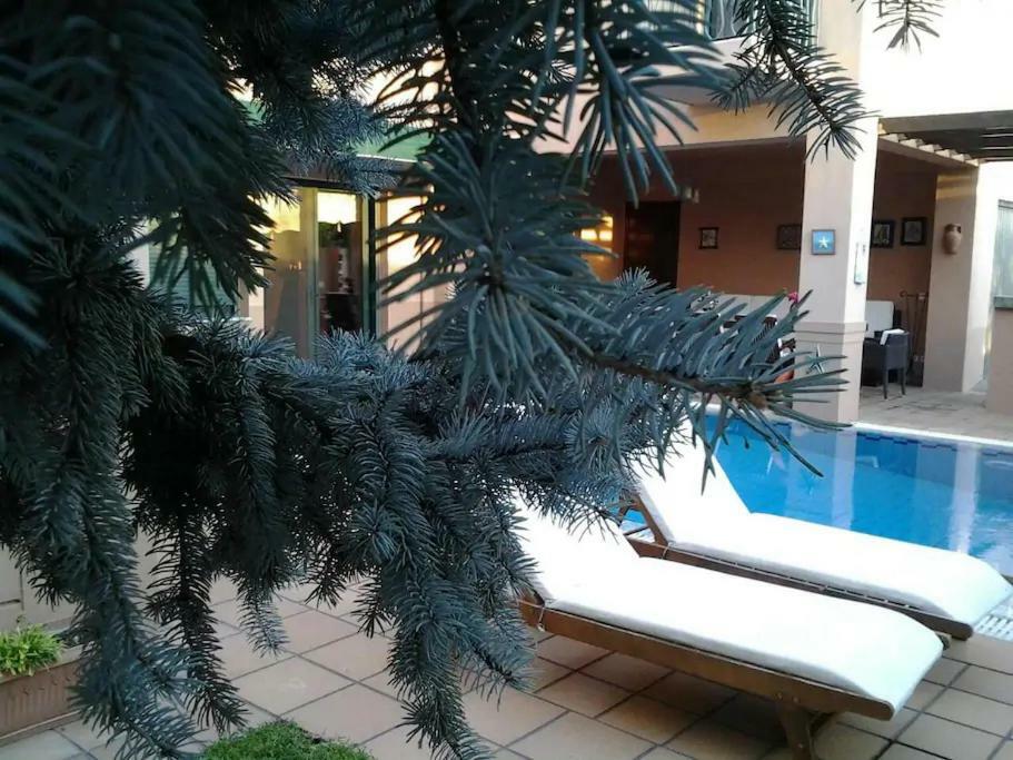 4-Seasons Pool Villa Near Meteora Трикала Экстерьер фото