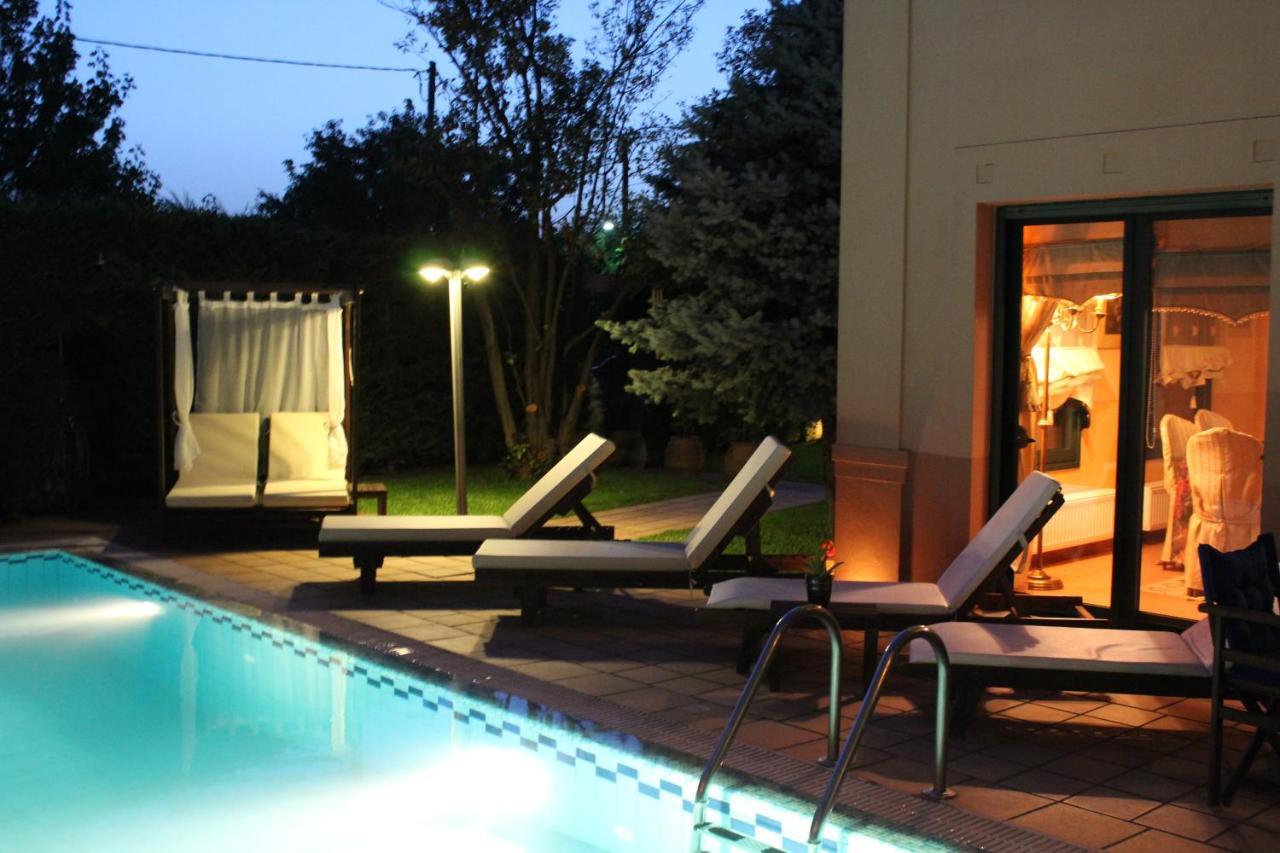 4-Seasons Pool Villa Near Meteora Трикала Экстерьер фото